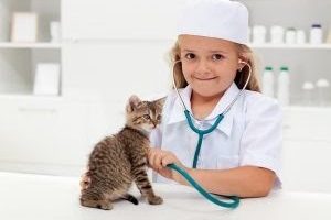 10 Hot Trends and Topics in Veterinary Medicine Right Now
