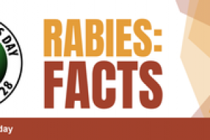 World Rabies Day How to Protect Your Pet
